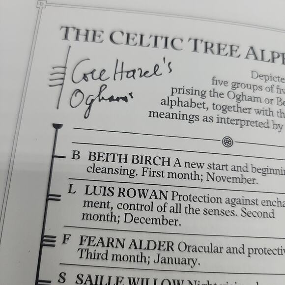 The Celtic Tree Oracle System of Divination First US Edition Hardcover - Picture 15 of 16